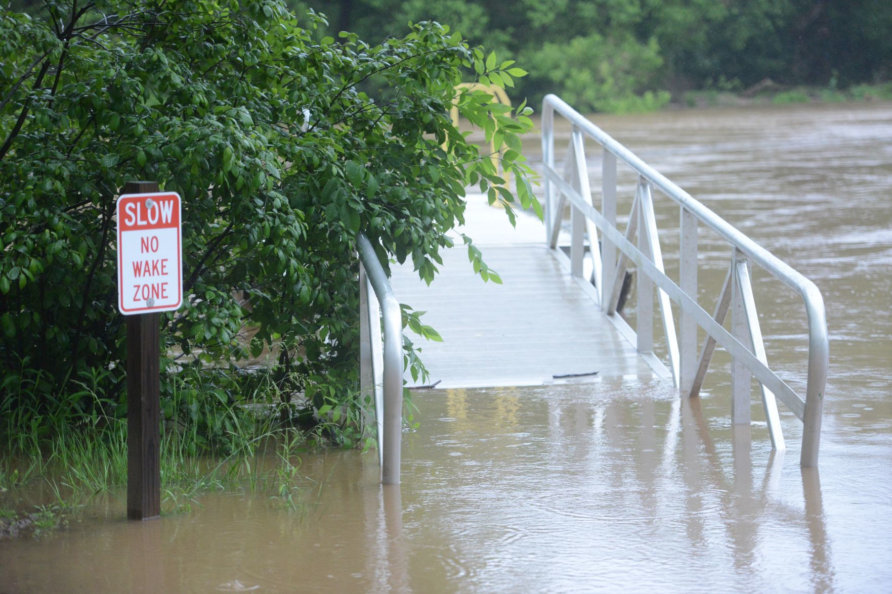 Flood 6.jpg